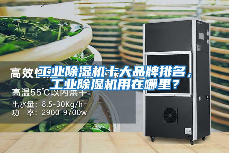 工業(yè)除濕機(jī)十大品牌排名,工業(yè)除濕機(jī)用在哪里?