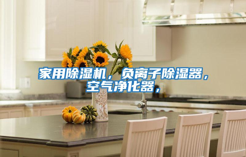 家用除濕機(jī),負(fù)離子除濕器,空氣凈化器,