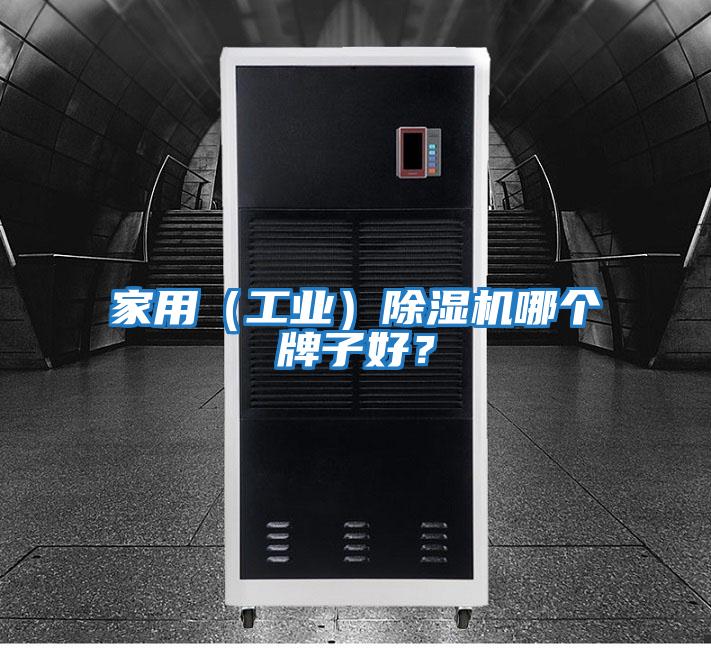 家用(工業(yè))除濕機(jī)哪個牌子好?