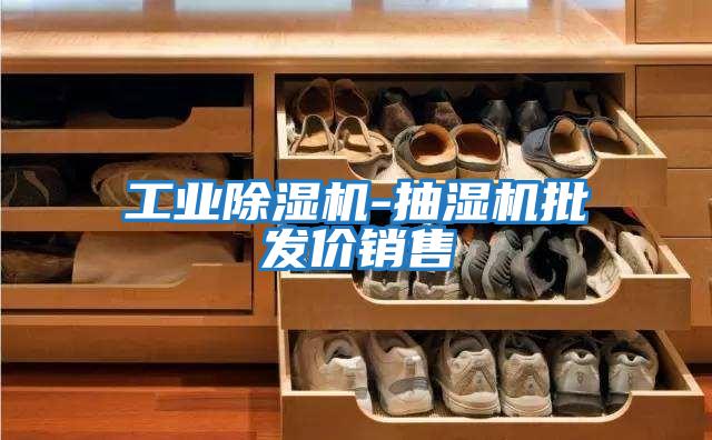 工業(yè)除濕機(jī)-抽濕機(jī)批發(fā)價銷售