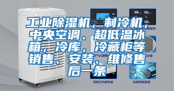 工業除濕機,制冷機,中央空調、超低溫冰箱,冷庫,冷藏柜等銷售、安裝、維修售后一條