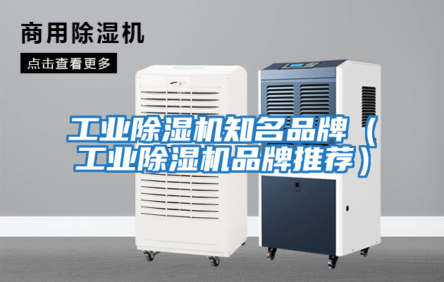 工業除濕機知名品牌（工業除濕機品牌推薦）