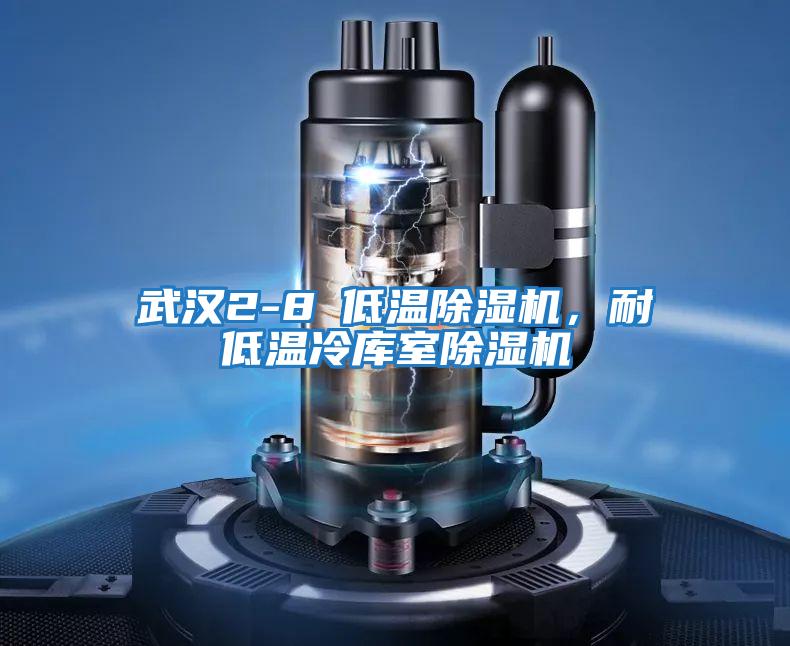 武漢2-8℃低溫除濕機，耐低溫冷庫室除濕機