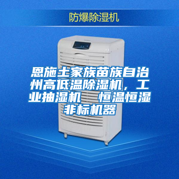 恩施土家族苗族自治州高低溫除濕機，工業(yè)抽濕機  恒溫恒濕非標(biāo)機器