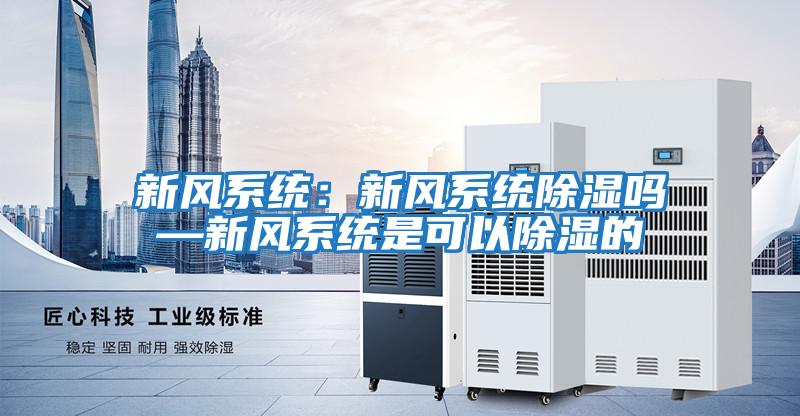 新風(fēng)系統(tǒng):新風(fēng)系統(tǒng)除濕嗎—新風(fēng)系統(tǒng)是可以除濕的
