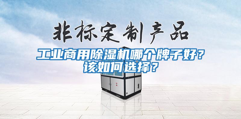 工業(yè)商用除濕機哪個牌子好?該如何選擇?