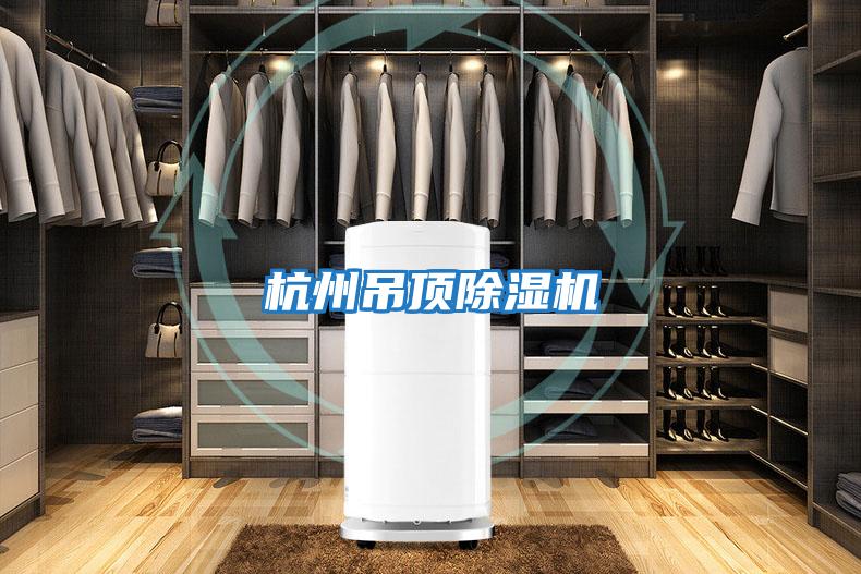 杭州吊頂除濕機