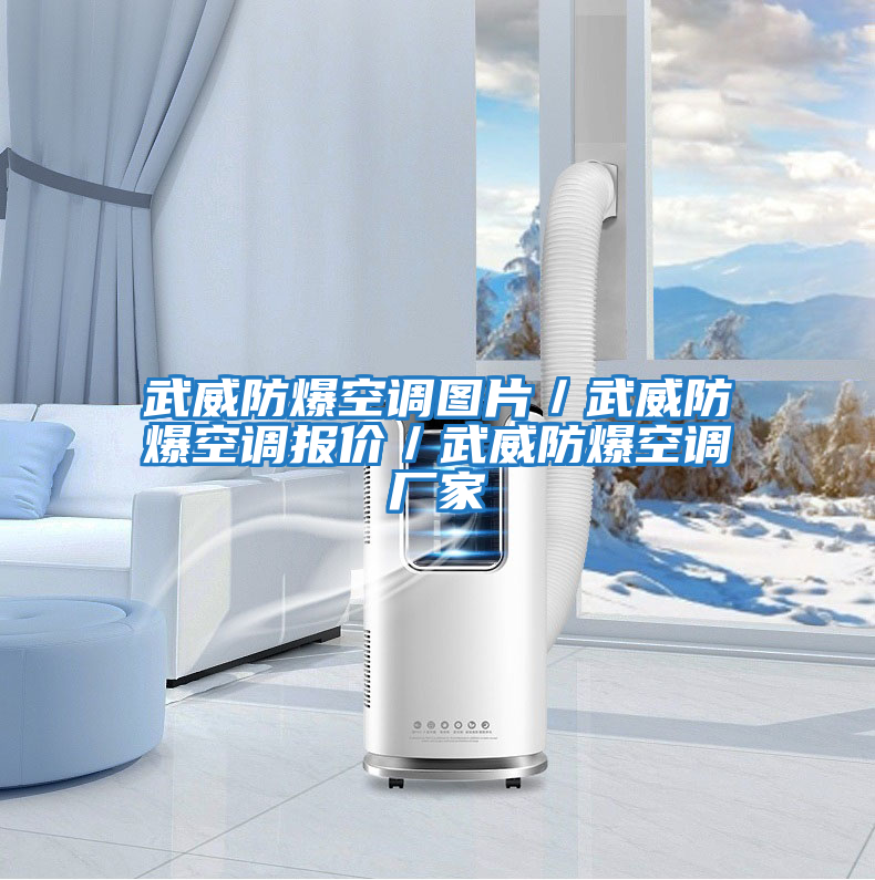 武威防爆空調圖片/武威防爆空調報價/武威防爆空調廠家