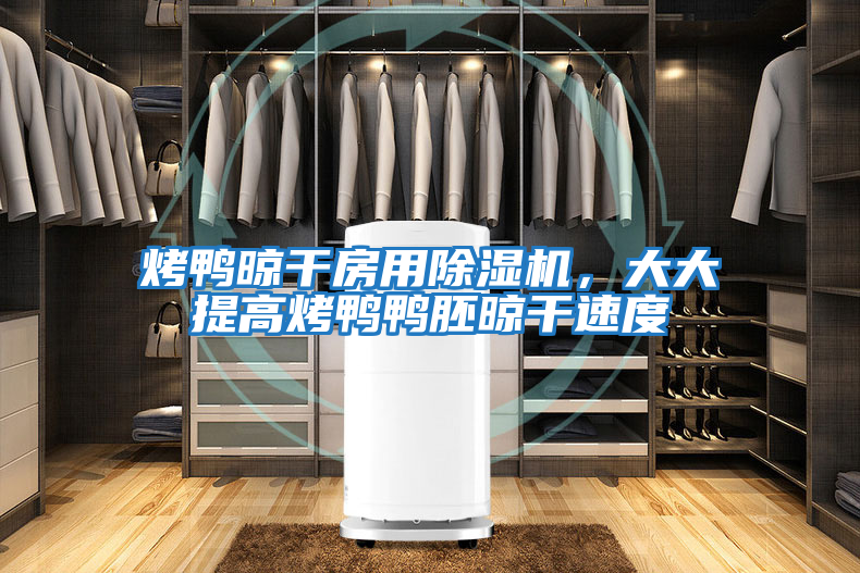 烤鴨晾干房用除濕機，大大提高烤鴨鴨胚晾干速度