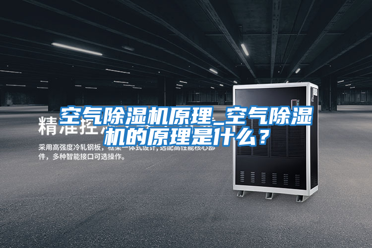空氣除濕機(jī)原理_空氣除濕機(jī)的原理是什么?