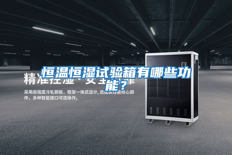 恒溫恒濕試驗箱有哪些功能?