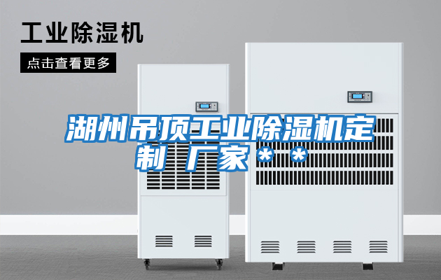 湖州吊頂工業除濕機定制 廠家**
