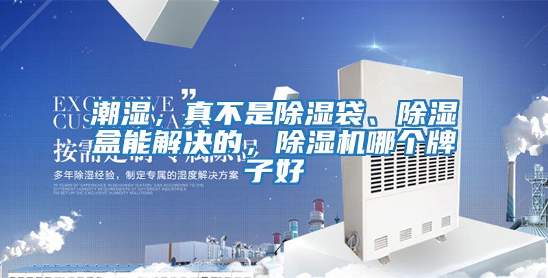 潮濕,真不是除濕袋、除濕盒能解決的,除濕機哪個牌子好