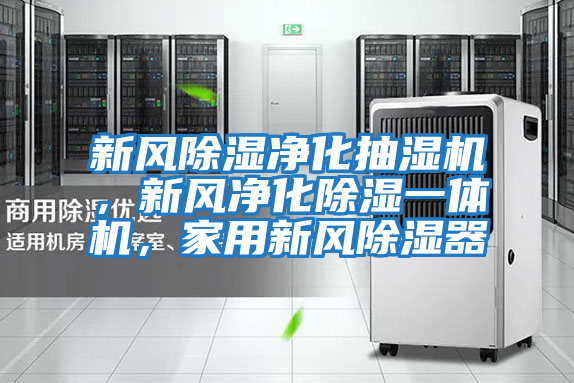 新風除濕凈化抽濕機，新風凈化除濕一體機，家用新風除濕器