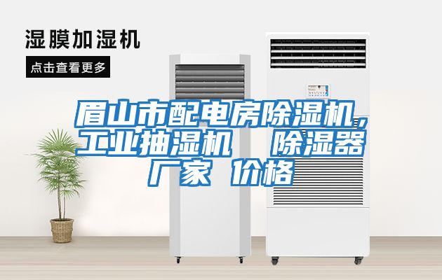 眉山市配電房除濕機(jī),工業(yè)抽濕機(jī) 除濕器廠家 價格