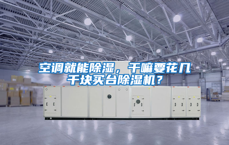 空調(diào)就能除濕，干嘛要花幾千塊買臺除濕機？