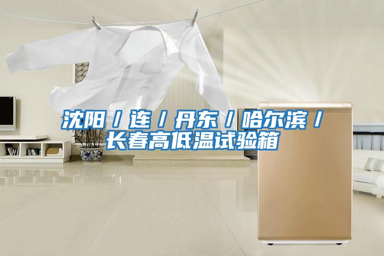 沈陽/連/丹東/哈爾濱/長春高低溫試驗箱