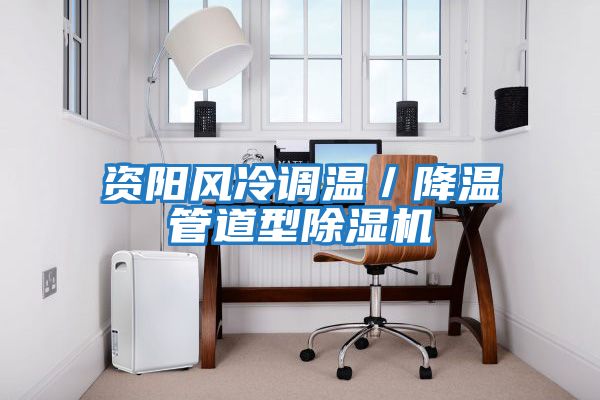 資陽風冷調溫/降溫管道型除濕機