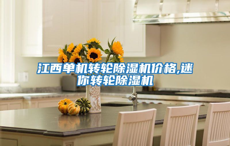 江西單機(jī)轉(zhuǎn)輪除濕機(jī)價格,迷你轉(zhuǎn)輪除濕機(jī)