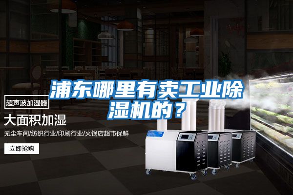 浦東哪里有賣工業除濕機的?