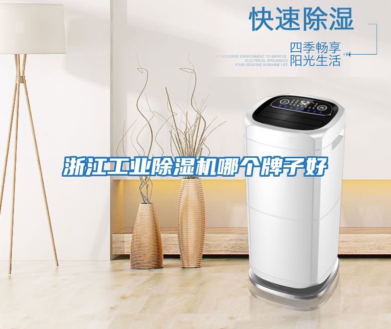 浙江工業除濕機哪個牌子好