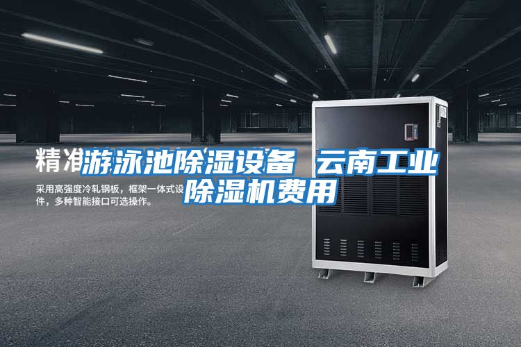 游泳池除濕設(shè)備 云南工業(yè)除濕機費用