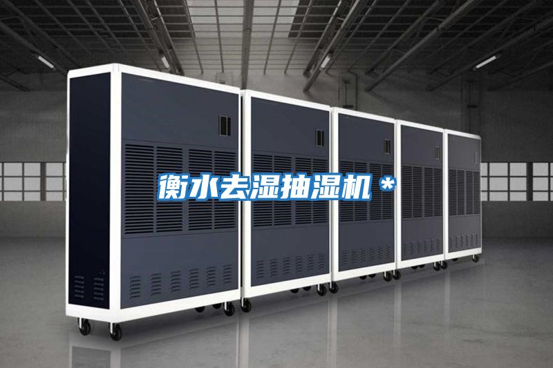 衡水去濕抽濕機(jī)*
