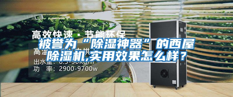 被譽(yù)為“除濕神器”的西屋除濕機(jī),實(shí)用效果怎么樣?