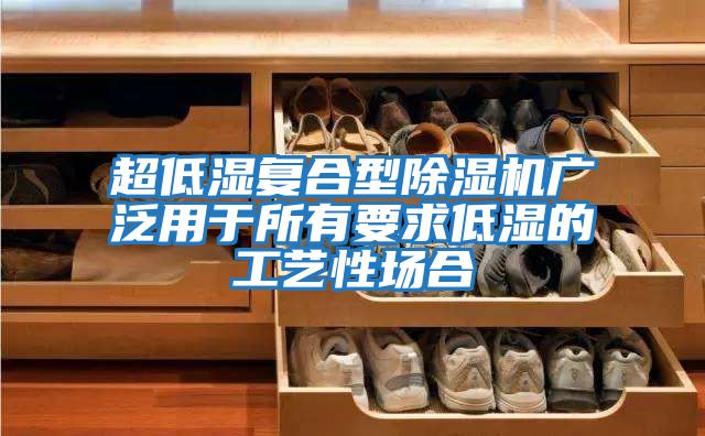 超低濕復(fù)合型除濕機廣泛用于所有要求低濕的工藝性場合