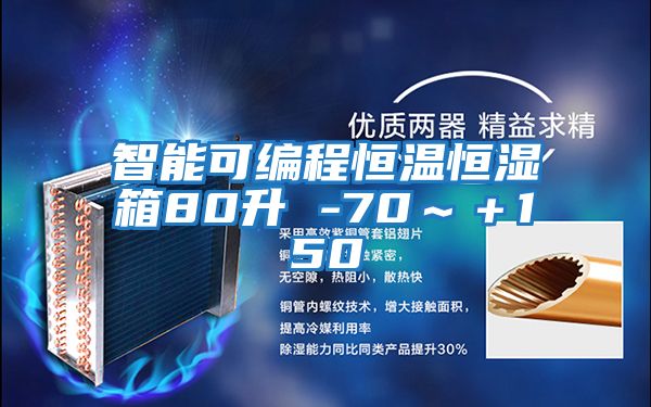 智能可編程恒溫恒濕箱80升 -70~+150℃