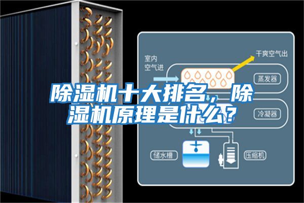 除濕機十大排名，除濕機原理是什么？