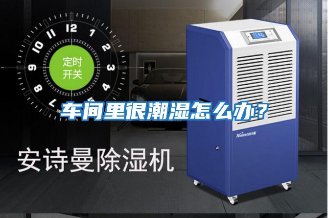 車間里很潮濕怎么辦？