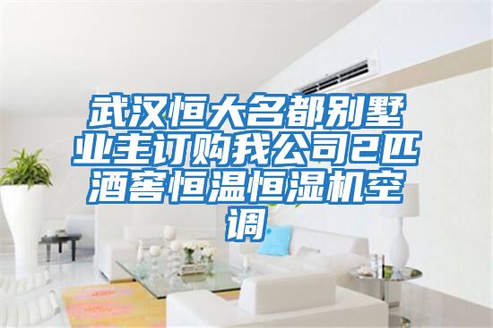 武漢恒大名都別墅業主訂購我公司2匹酒窖恒溫恒濕機空調