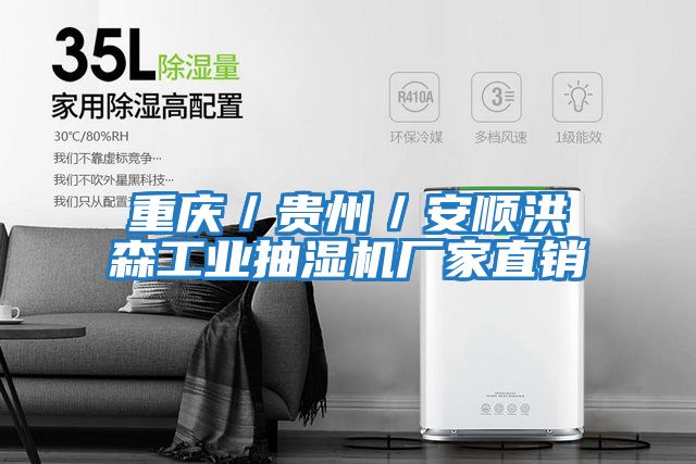 重慶/貴州/安順洪森工業(yè)抽濕機廠家直銷