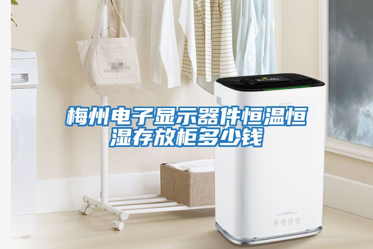 梅州電子顯示器件恒溫恒濕存放柜多少錢(qián)