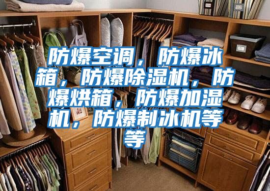 防爆空調,防爆冰箱,防爆除濕機,防爆烘箱,防爆加濕機,防爆制冰機等等
