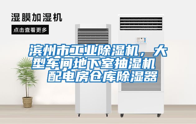 濱州市工業除濕機,大型車間地下室抽濕機 配電房倉庫除濕器