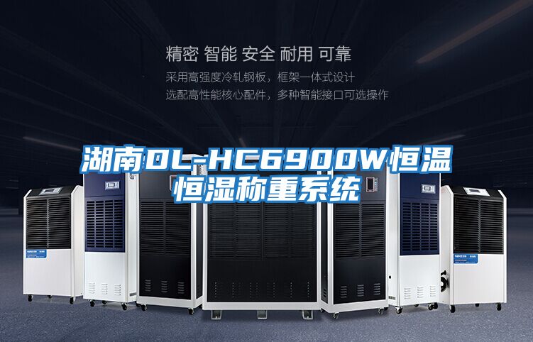 湖南DL-HC6900W恒溫恒濕稱重系統