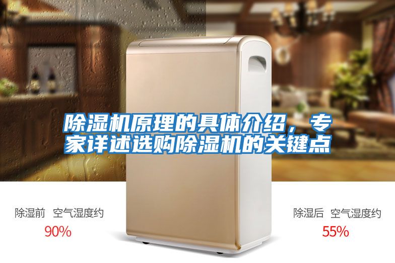 除濕機原理的具體介紹，專家詳述選購除濕機的關鍵點