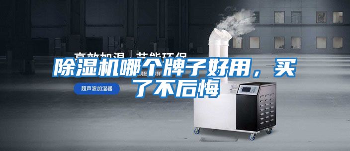 除濕機(jī)哪個(gè)牌子好用,買(mǎi)了不后悔