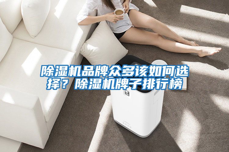 除濕機品牌眾多該如何選擇?除濕機牌子排行榜