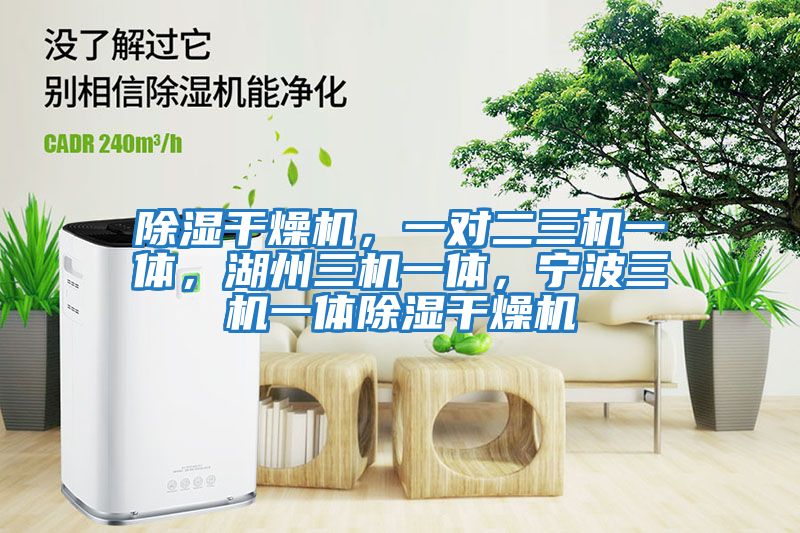 除濕干燥機(jī),一對二三機(jī)一體,湖州三機(jī)一體,寧波三機(jī)一體除濕干燥機(jī)