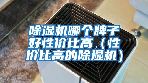 除濕機(jī)哪個(gè)牌子好性價(jià)比高(性價(jià)比高的除濕機(jī))