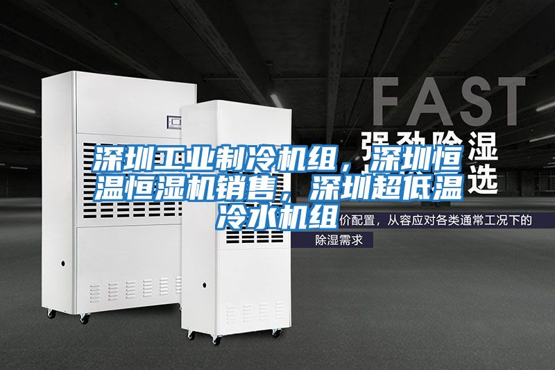 深圳工業(yè)制冷機(jī)組,深圳恒溫恒濕機(jī)銷(xiāo)售,深圳超低溫冷水機(jī)組