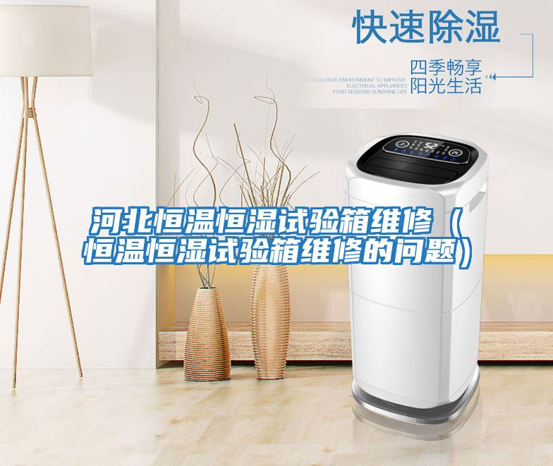 河北恒溫恒濕試驗(yàn)箱維修(恒溫恒濕試驗(yàn)箱維修的問題)