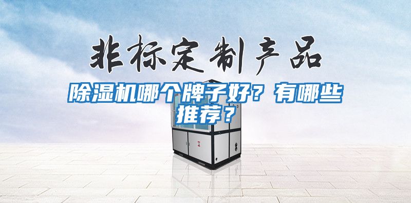 除濕機哪個牌子好?有哪些推薦?