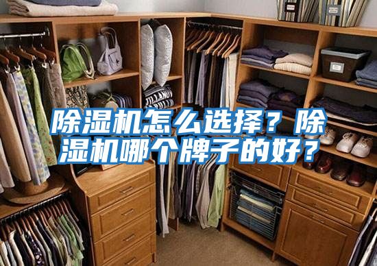 除濕機怎么選擇?除濕機哪個牌子的好?
