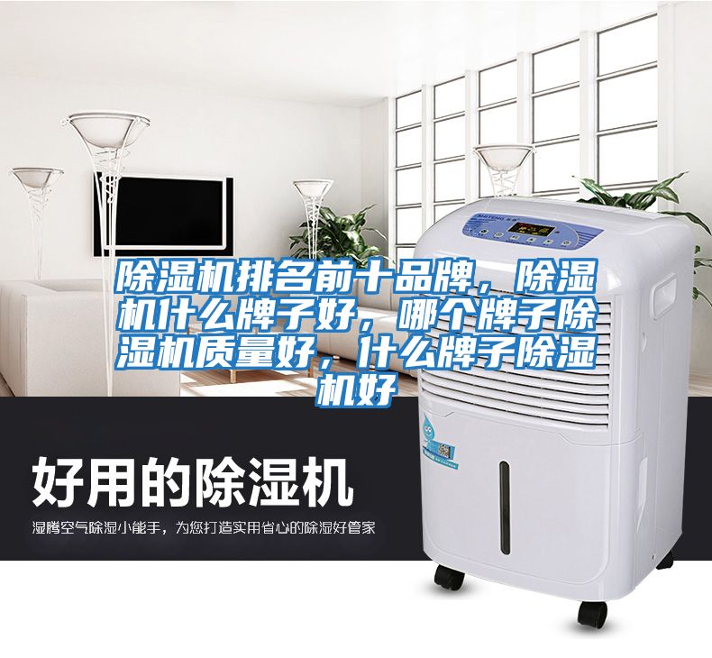 除濕機排名前十品牌,除濕機什么牌子好,哪個牌子除濕機質(zhì)量好,什么牌子除濕機好