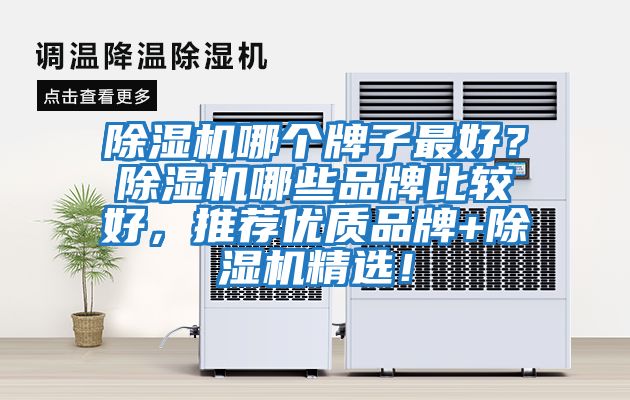 除濕機哪個牌子最好?除濕機哪些品牌比較好,推薦優(yōu)質品牌+除濕機精選!