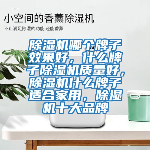 除濕機哪個牌子效果好,什么牌子除濕機質量好,除濕機什么牌子適合家用,除濕機十大品牌